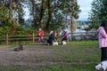 MERCER ISLAND, WA, USA Ã¢â¬â JANUARY 17, 2022: Luther Burbank Park, small dog off leash area of dog park Royalty Free Stock Photo